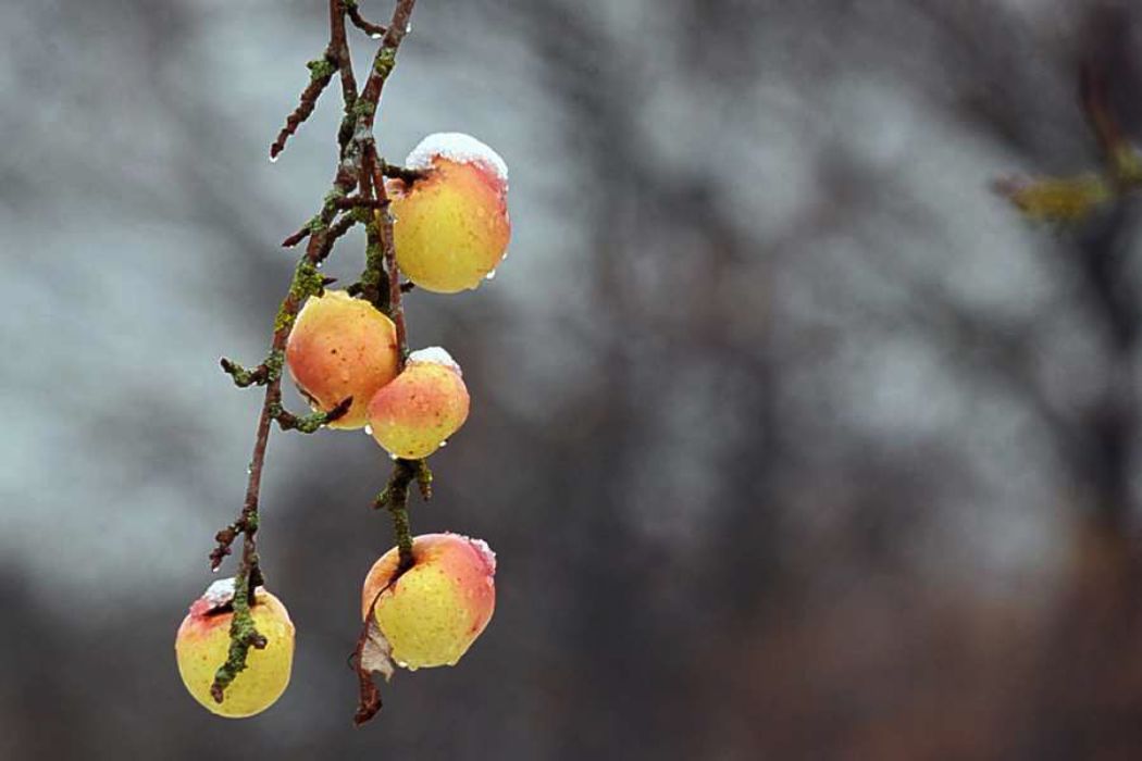 Nom de l'image : D30038098_2_(c)Norbert-JUNG — Description :